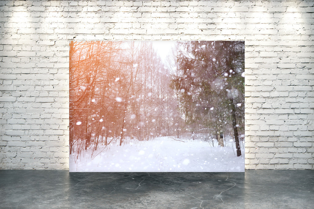 Snowing Forest
